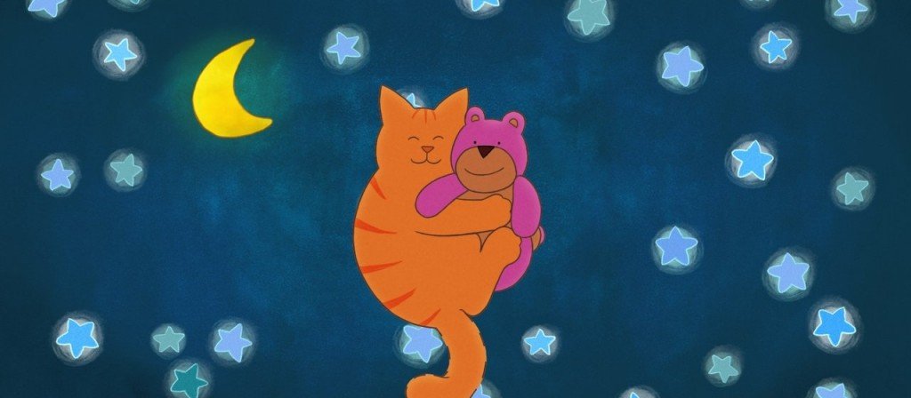 actualité Tom le chat à la recherche du doudou perdu
