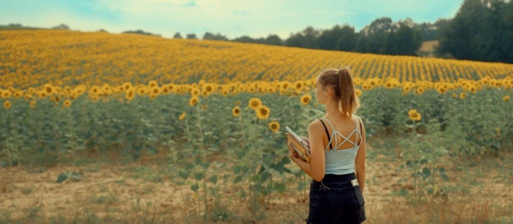 actualité Se souvenir des tournesols