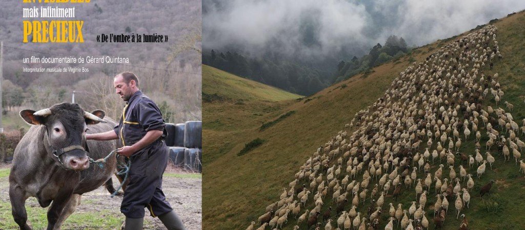 actualité Invisibles mais infiniment précieux