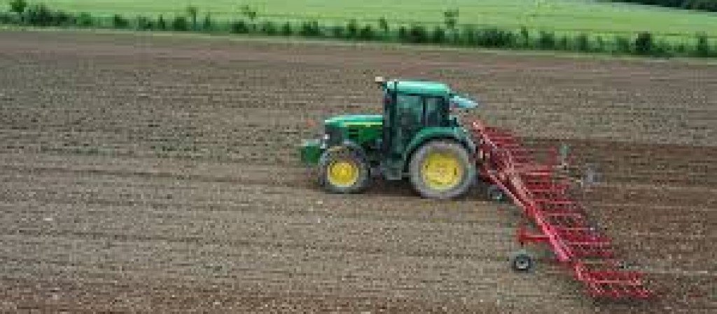 actualité Leurs champs du cœur