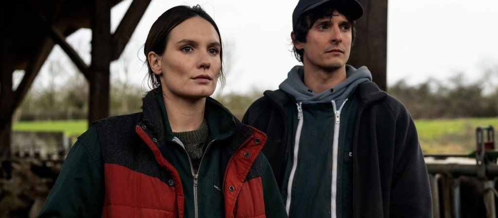 actualité La guerre des prix