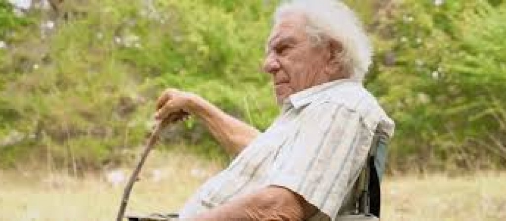 actualité La terre de mon grand-père